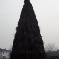 dscf0197 470x640